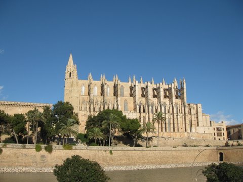 Palmos katedra